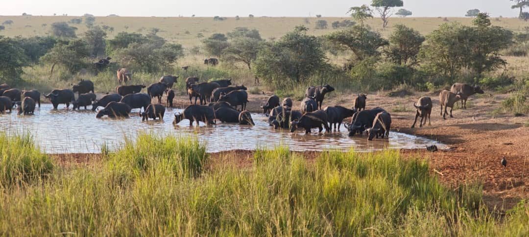 Kazinga Channel