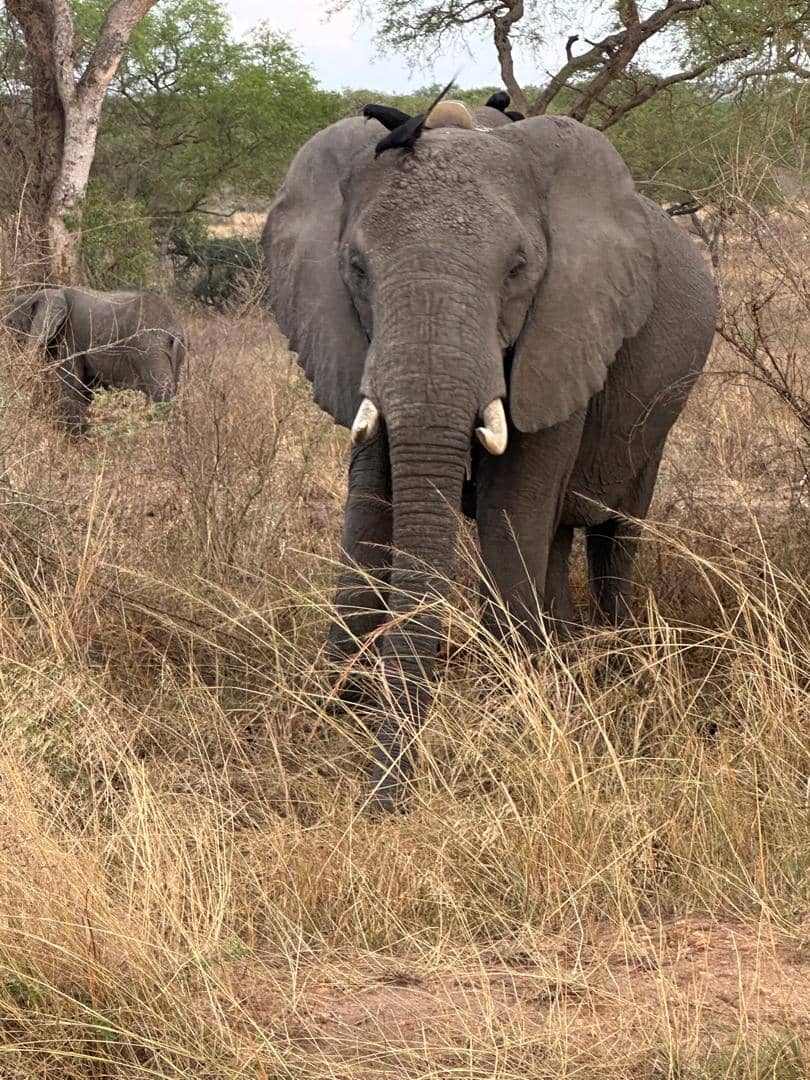 Kidepo Valley National Park, Uganda