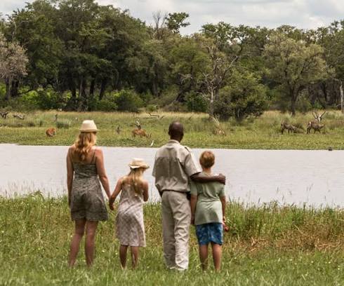 Family Safaris
