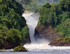 Murchison Falls from the viewpoint