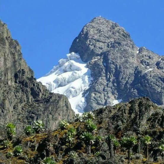 Rwenzori Mountains of the Moon